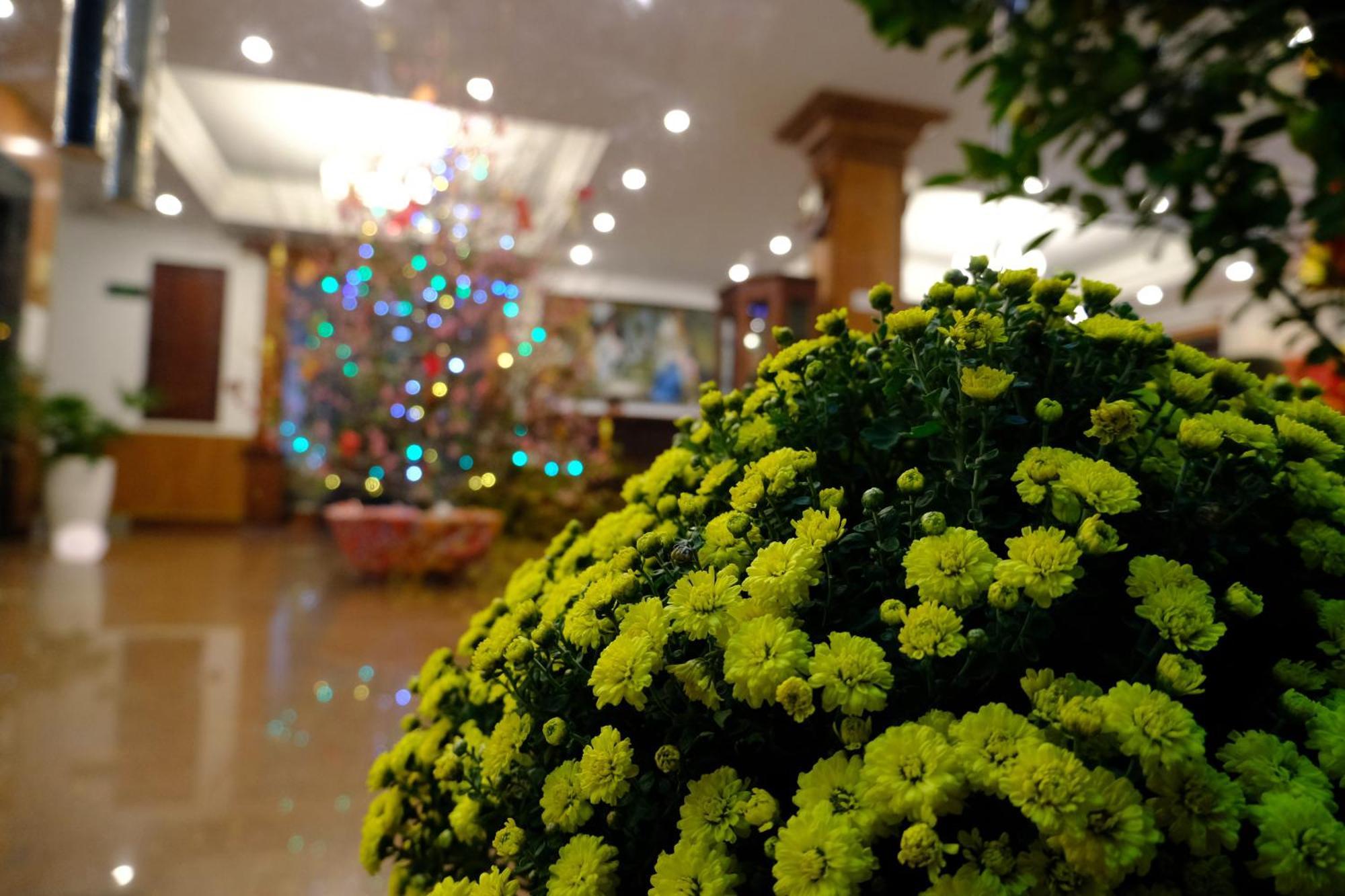 Hoa Phat Hotel & Apartment Ciudad Ho Chi Minh  Exterior foto